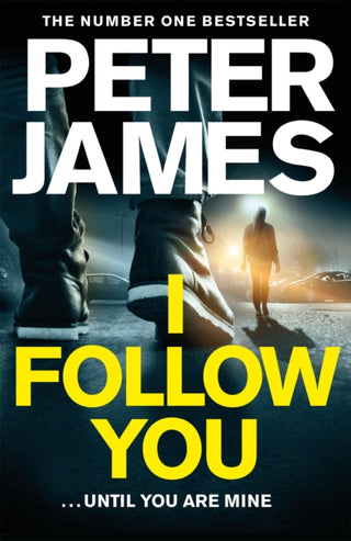 Cover image for 9781509816309 - I Follow You