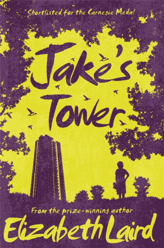 Cover image for 9781509826711 - Jake's Tower