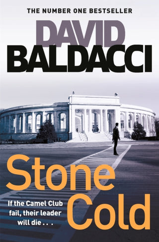 Cover image for 9781509850990 - Stone Cold