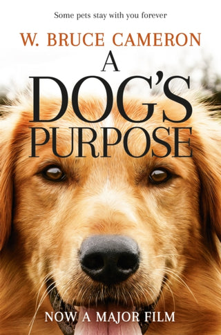 Cover image for 9781509852826 - A Dog's Purpose