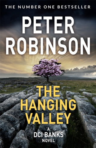 Cover image for 9781509859047 - The Hanging Valley
