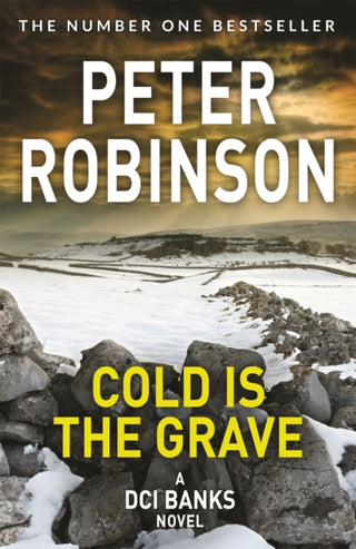 Cover image for 9781509859955 - Cold is the Grave