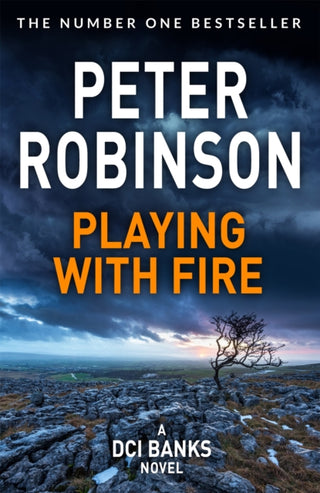 Cover image for 9781509859986 - Playing With Fire