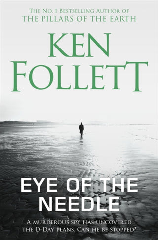 Cover image for 9781509860036 - Eye of the Needle