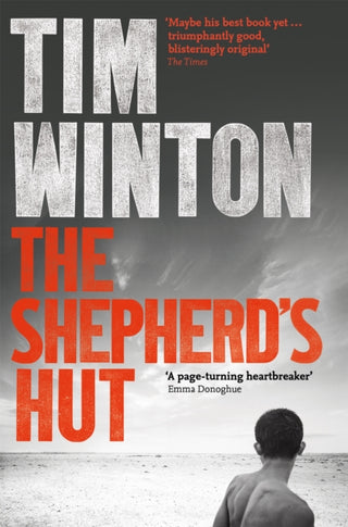 Cover image for 9781509863846 - The Shepherd's Hut