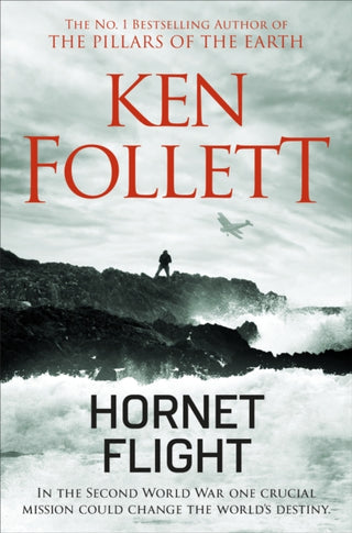 Cover image for 9781509865437 - Hornet Flight