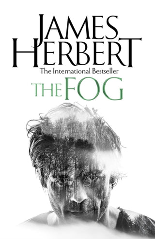 Cover image for 9781509865451 - The Fog