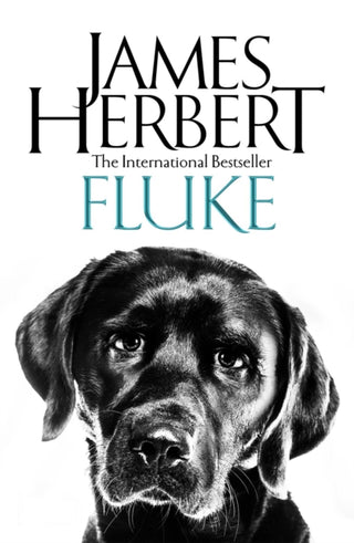 Cover image for 9781509865475 - Fluke