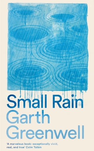 Cover image for 9781509874699 - Small Rain