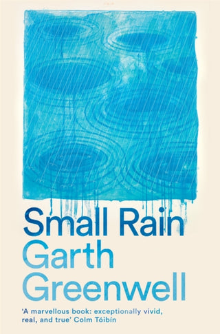 Cover image for 9781509874729 - Small Rain