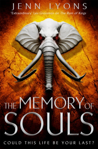 Cover image for 9781509879601 - The Memory of Souls