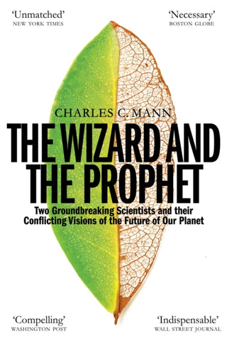 Cover image for 9781509884186 - The Wizard and the Prophet