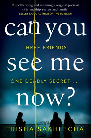 Cover image for 9781509886340 - Can You See Me Now?