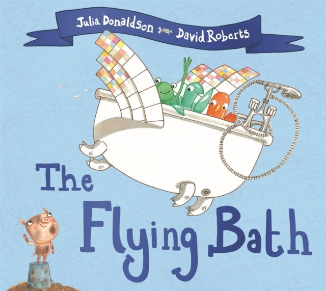 Cover image for 9781509892440 - The Flying Bath