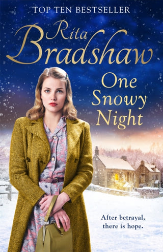 Cover image for 9781509898077 - One Snowy Night
