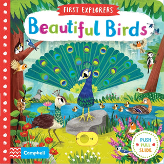 Cover image for 9781509898336 - Beautiful Birds