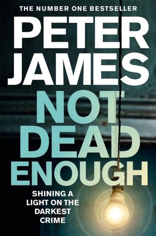 Supplemental image for 9781509898848 - Not Dead Enough