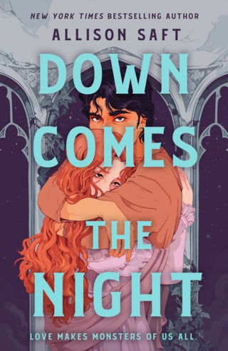Cover image for 9781510113688 - Down Comes the Night