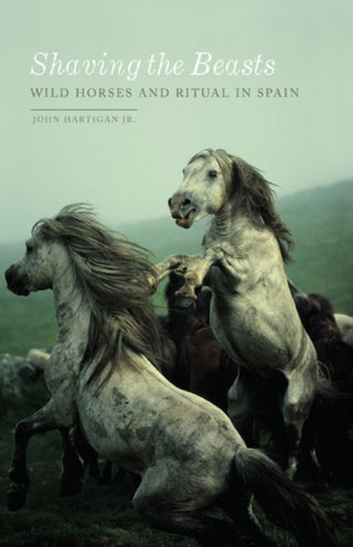 Cover image for 9781517904746 - Shaving the Beasts