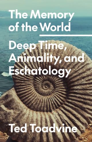 Supplemental image for 9781517916008 - The Memory of the World