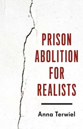 Cover image for 9781517920401 - Prison Abolition for Realists