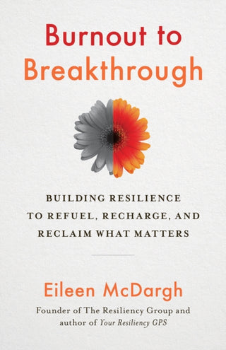 Cover image for 9781523089468 - Burnout to Breakthrough