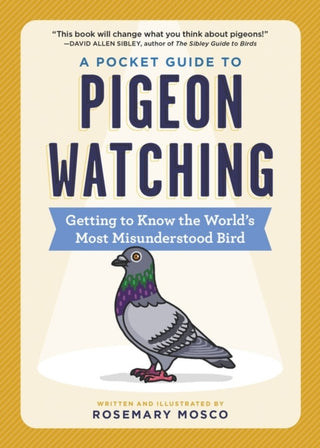 Cover image for 9781523511341 - A Pocket Guide to Pigeon Watching