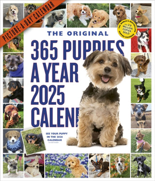 Cover image for 9781523524914 - 365 Puppies-A-Year Picture-A-Day® Wall Calendar 2025