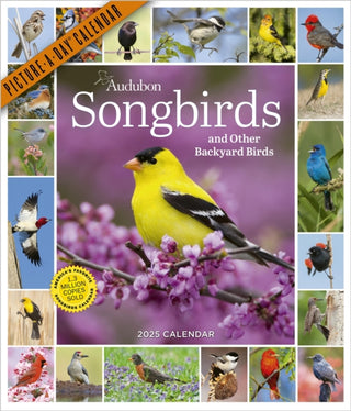 Cover image for 9781523526314 - Audubon Songbirds and Other Backyard Birds Picture-A-Day® Wall Calendar 2025