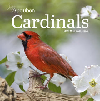 Cover image for 9781523526574 - Audubon Cardinals Mini Wall Calendar 2025