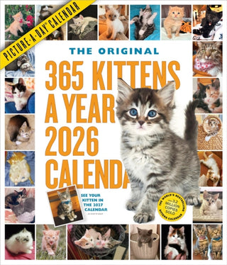 Cover image for 9781523530427 - 365 Kittens-A-Year Picture-A-Day® Wall Calendar 2026