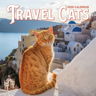 Cover image for 9781523530434 - Travel Cats Wall Calendar 2026