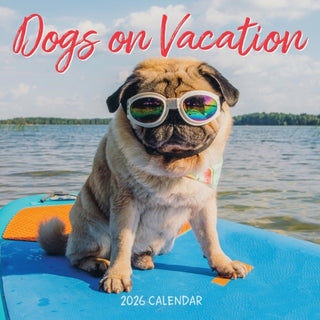 Cover image for 9781523530540 - Dogs on Vacation Wall Calendar 2026