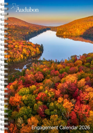 Cover image for 9781523530595 - Audubon Engagement Calendar 2026