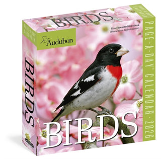 Cover image for 9781523530656 - Audubon Birds Page-A-Day® Calendar 2026