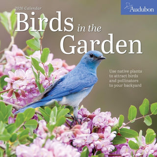 Cover image for 9781523530878 - Audubon Birds in the Garden Wall Calendar 2026