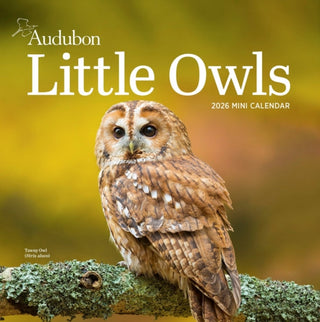 Cover image for 9781523531042 - Audubon Little Owls Mini Wall Calendar 2026