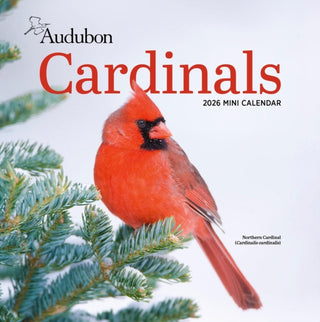 Cover image for 9781523531059 - Audubon Cardinals Mini Wall Calendar 2026