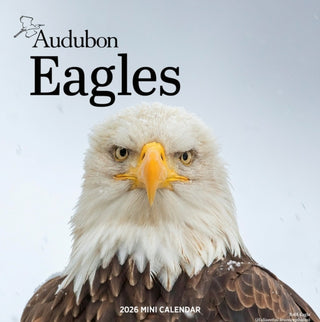 Cover image for 9781523531080 - Audubon Eagles Mini Wall Calendar 2026