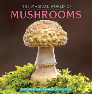 Cover image for 9781523531134 - The Magical World of Mushrooms Wall Calendar 2026