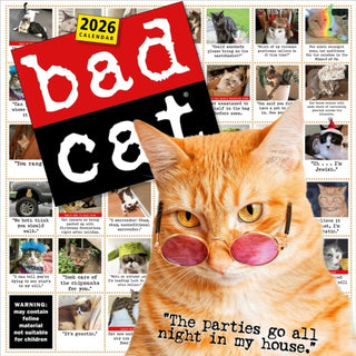 Cover image for 9781523531219 - Bad Cat Wall Calendar 2026