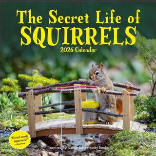 Cover image for 9781523531257 - Secret Life of Squirrels Wall Calendar 2026