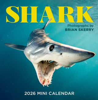 Cover image for 9781523531455 - Shark Mini Wall Calendar 2026