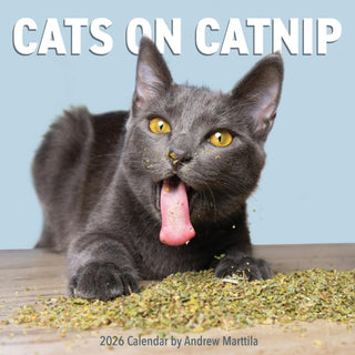 Cover image for 9781523531523 - Cats on Catnip Wall Calendar 2026