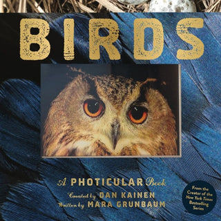 Supplemental image for 9781523532070 - Birds