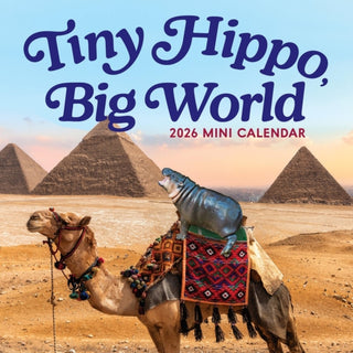 Cover image for 9781523533886 - Tiny Hippo, Big World Mini Calendar 2026