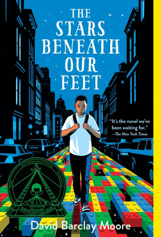 Supplemental image for 9781524701277 - The Stars Beneath Our Feet