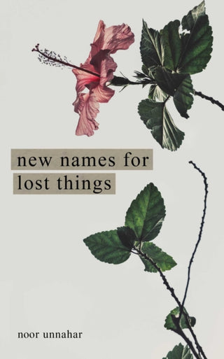Cover image for 9781524867591 - New Names for Lost Things