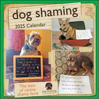 Cover image for 9781524890759 - Dog Shaming 2025 Wall Calendar