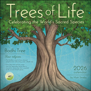 Cover image for 9781524898373 - Trees of Life 2026 Wall Calendar